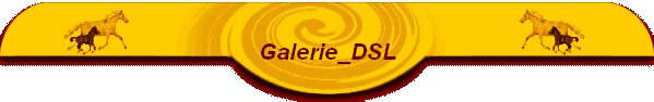 Galerie_DSL