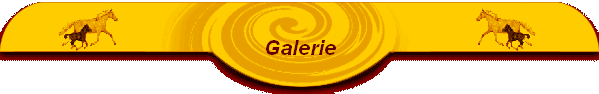 Galerie