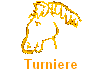 Turniere